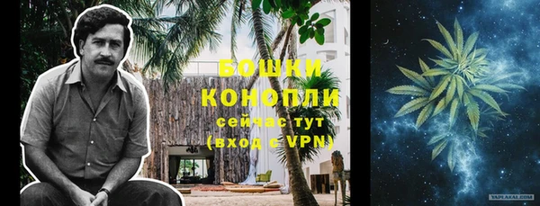 стаф Бронницы